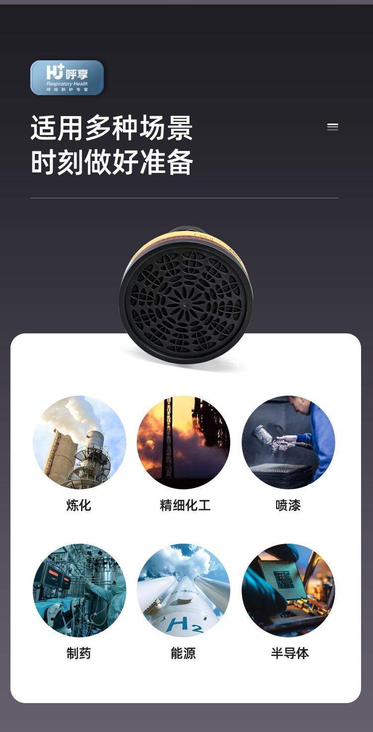 呼享5003防有机蒸气/酸性气体滤毒盒6